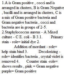 Group Activity - Gram Stain